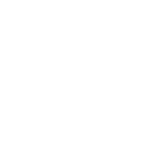 theme color icon
